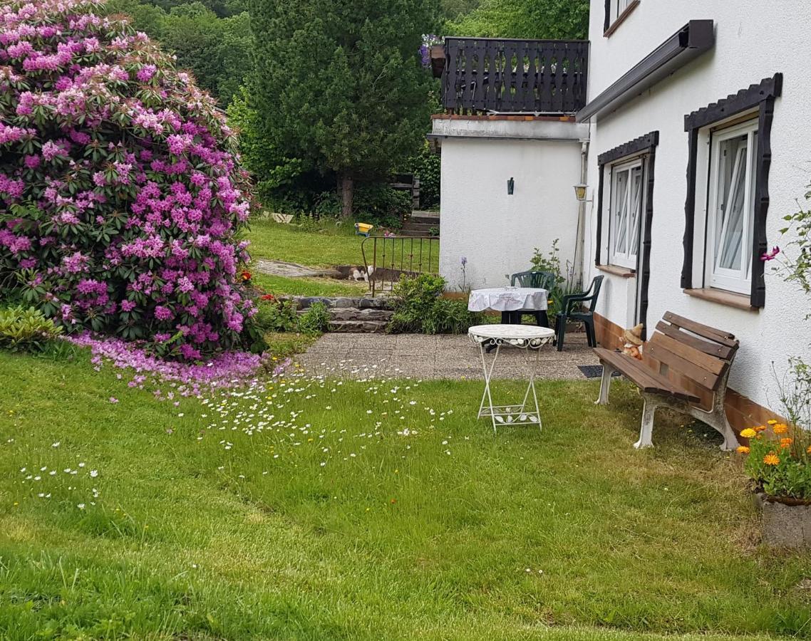 Ferienwohnung Eva Grebenhain Luaran gambar