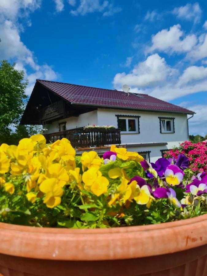 Ferienwohnung Eva Grebenhain Luaran gambar