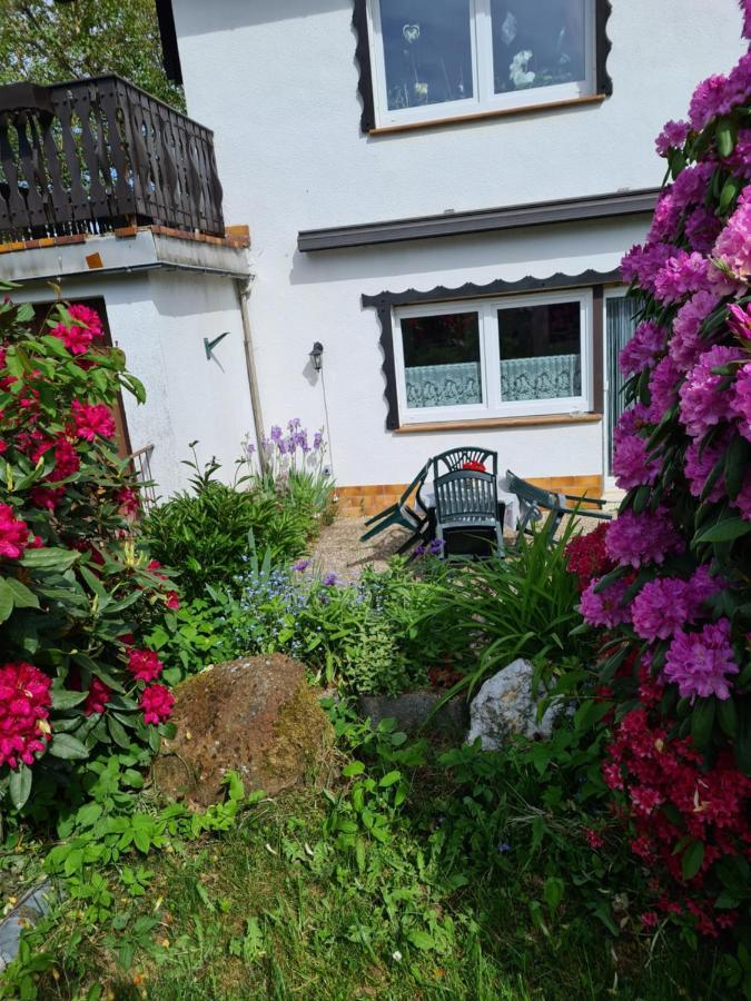 Ferienwohnung Eva Grebenhain Luaran gambar